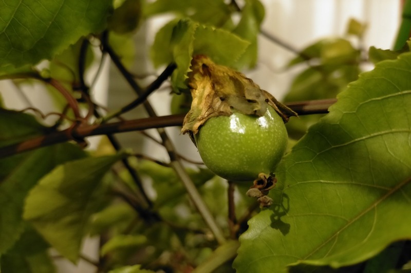 変換 ～ IMG20201026174026