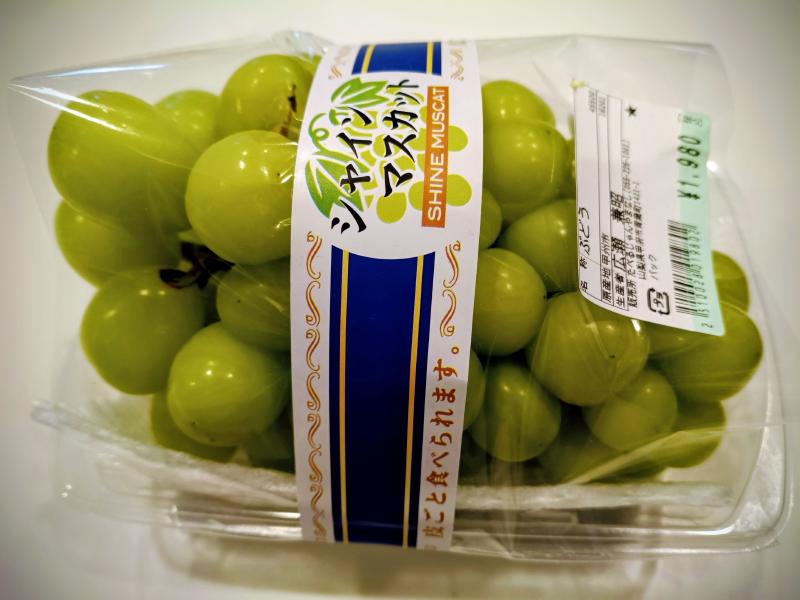 変換 ~ IMG_20251028_150437941~2