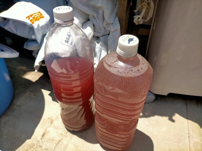 変換 ～ IMG20220530114056