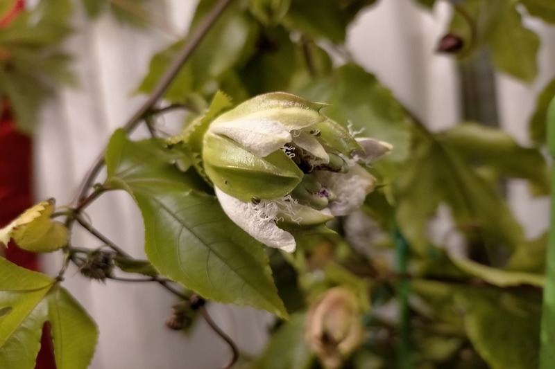 変換 ～ IMG20201026174036