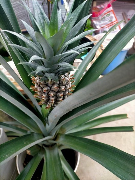 変換 ~ IMG20250608094710