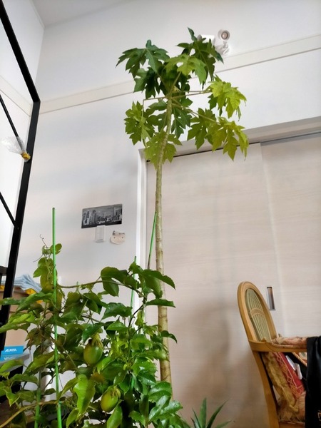 変換 ~ IMG20211017143133