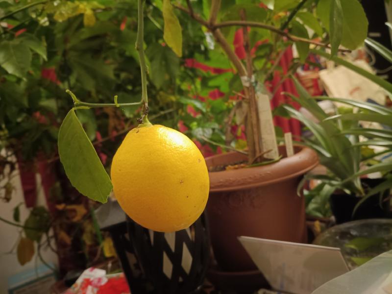 変換 ～ IMG_20260119_215414010