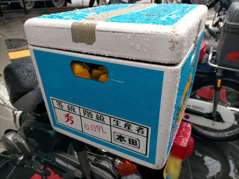 変換 ~ IMG20231015111855