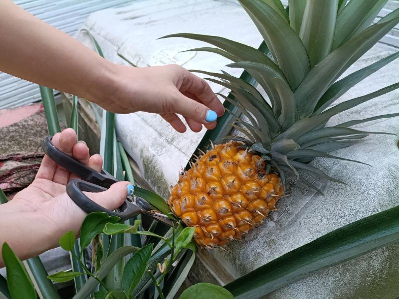 変換 ~ IMG_20250831_132032074-1