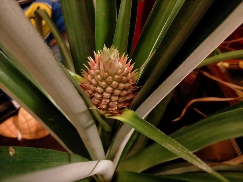 変換 ~ IMG20250305195338