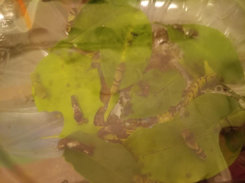 変換 ~ IMG_20251016_193713265