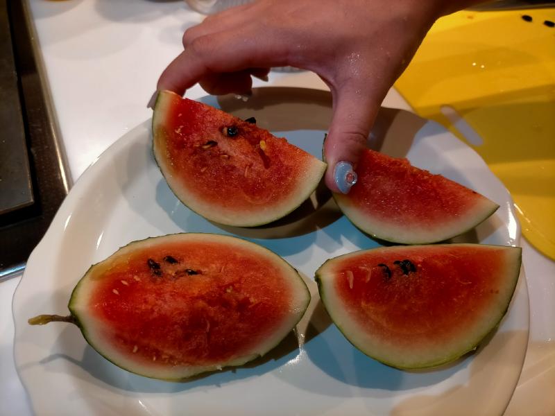 変換 ~ IMG20240806210417