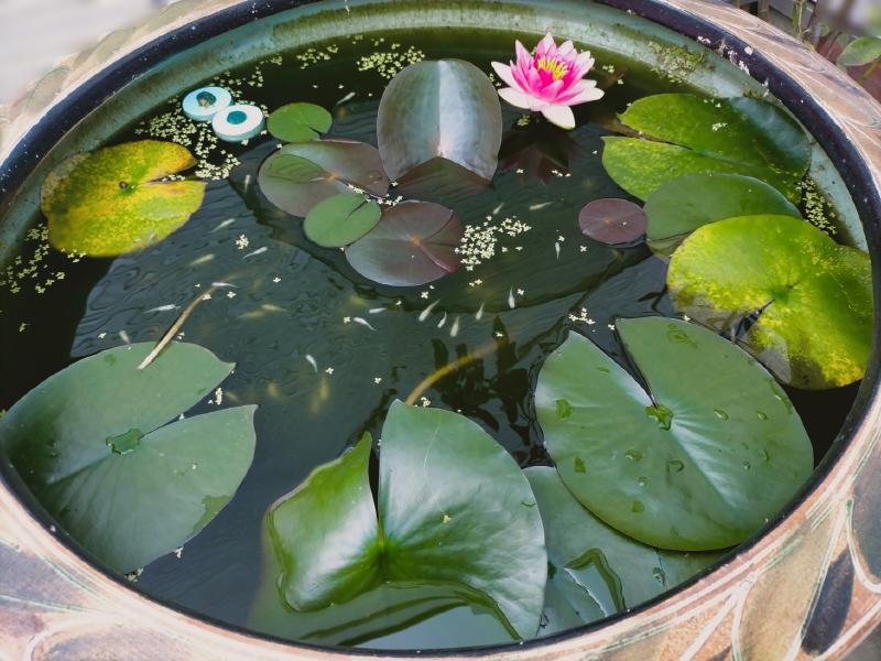 変換 ~ IMG20230530130618