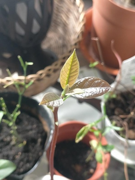 変換 ~ IMG20231022120906