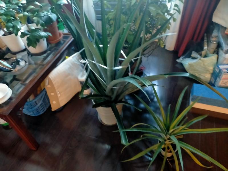 変換 ~ IMG20241104160922