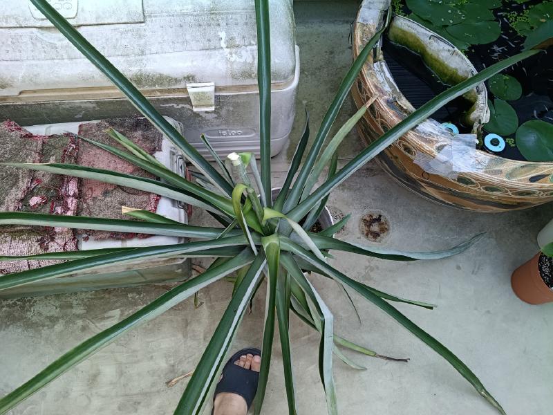 変換 ~ IMG_20250831_134722422