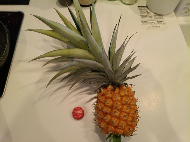 変換 ~ IMG_20250831_133621078