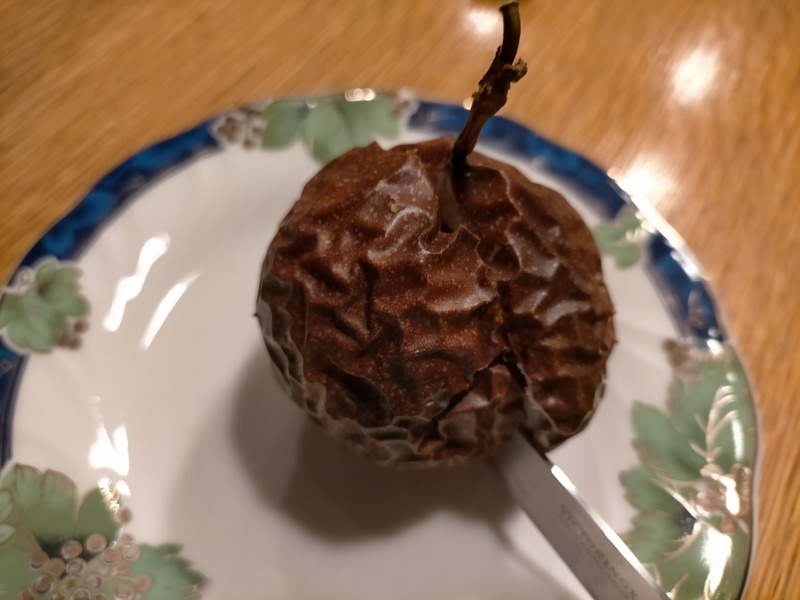 変換 ～ IMG20201021232257