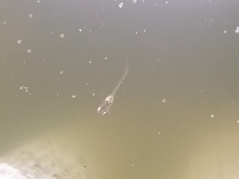 変換 ~ IMG20230603141209