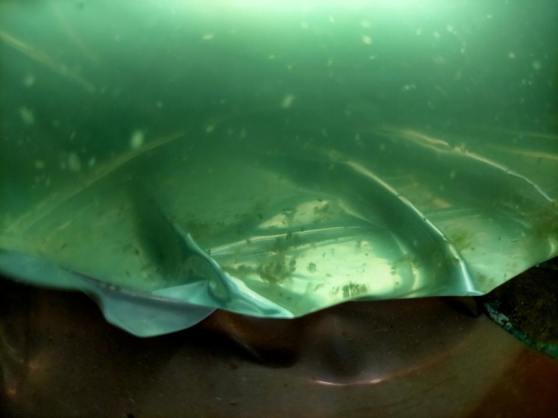 変換 ～ IMG20220529200635