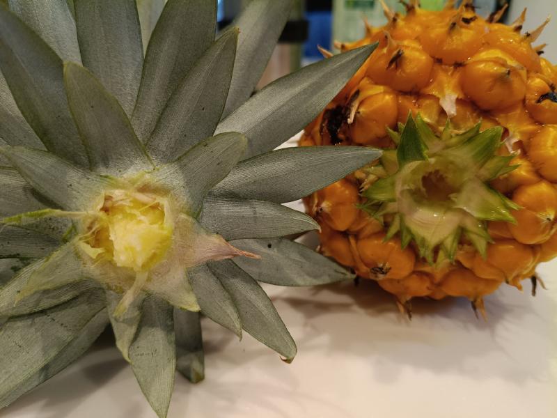 変換 ~ IMG_20250831_133830040