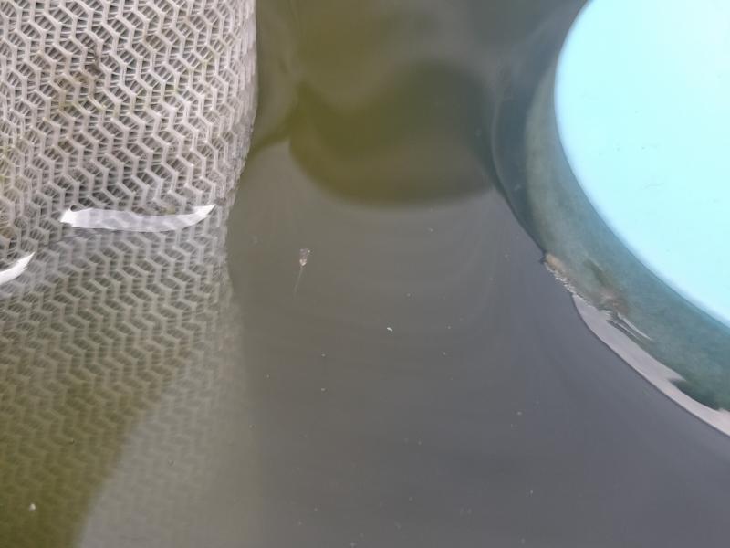 変換 ~ IMG20230603141302