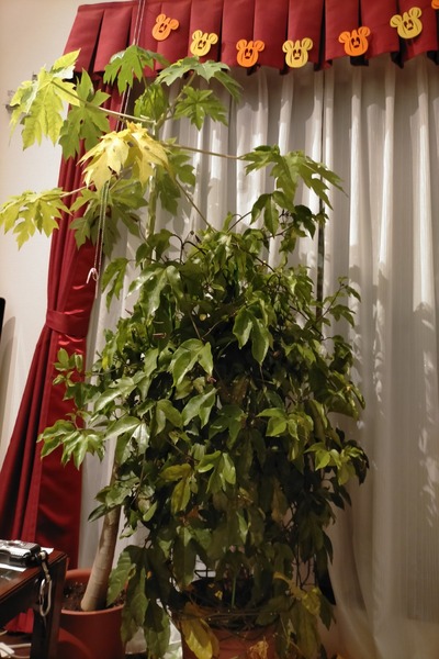 変換 ～ IMG20201026173548