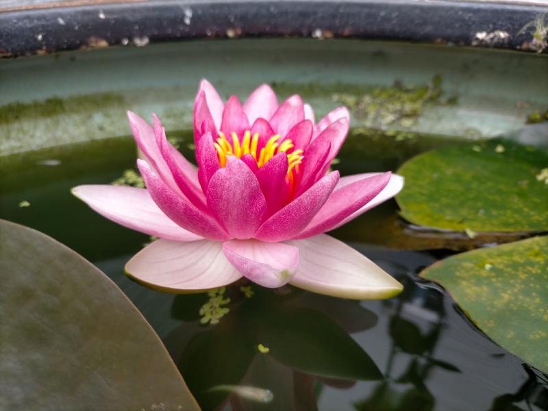 変換 ～ IMG20230530130503