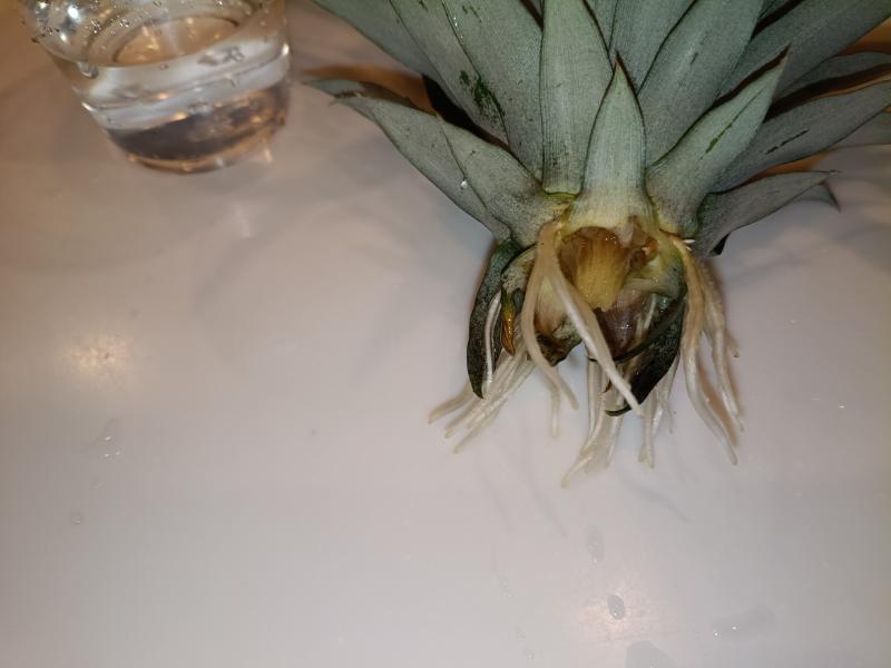 変換 ~ IMG_20250910_204519530