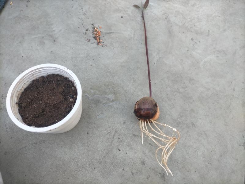 変換 ~ IMG20231022110848