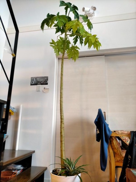 変換 ~ IMG20211017135106