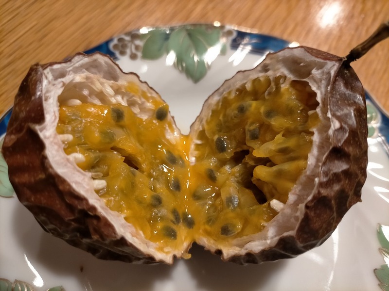 変換 ～ IMG20201021232319