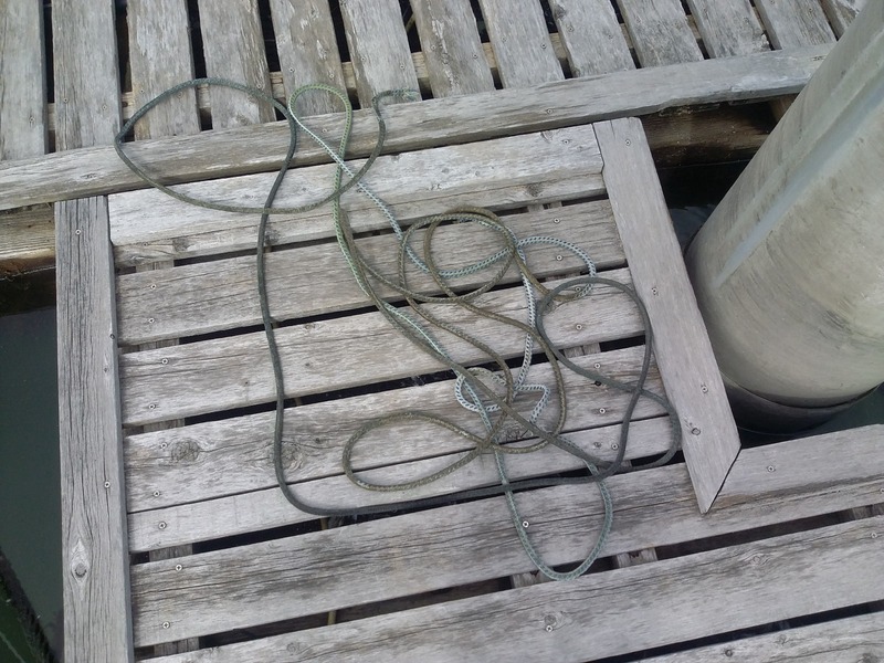 変換 ～ 20191020_121822