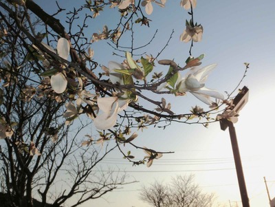 201203271726