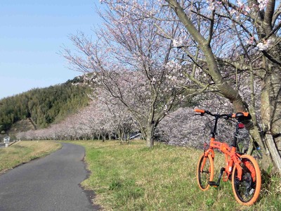 201203311637