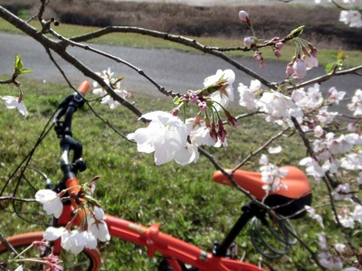 201203311630