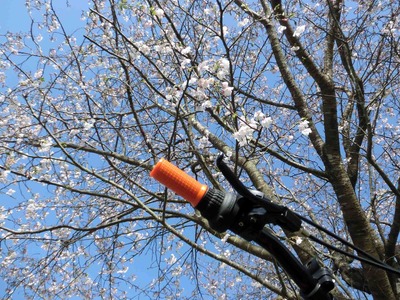 201203311617