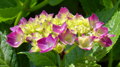 201406011019b