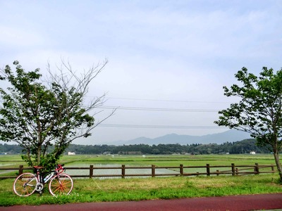 201204241603