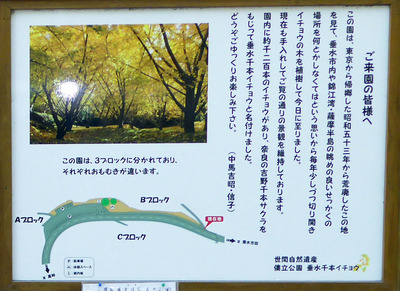 201412071607b