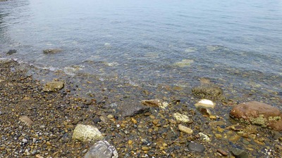 201406011259