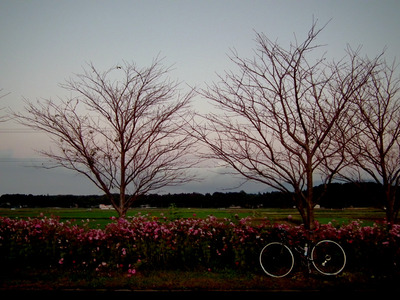 201010311737