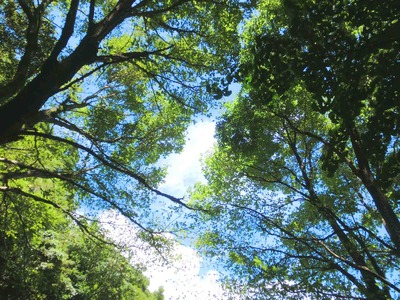 201207161146