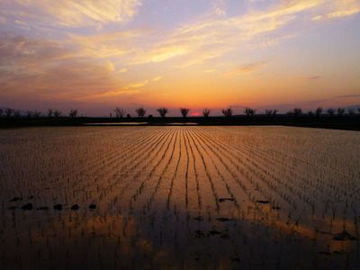 201304031834