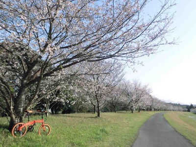 201203311616