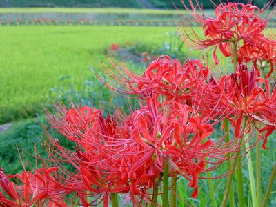 201209251756