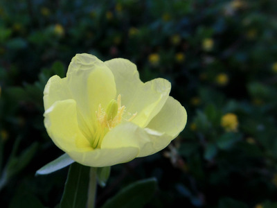 201204241808