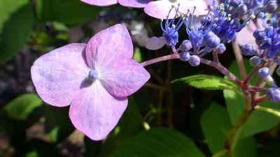 201406011021b