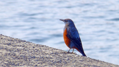 201402011539