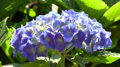201406011018b