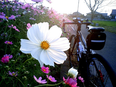 091027nozato