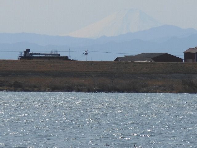 イメージ 9