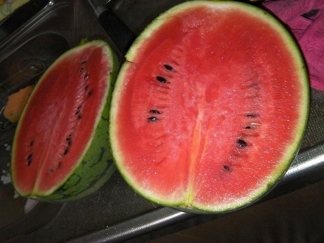 イメージ 10