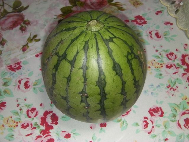 イメージ 9